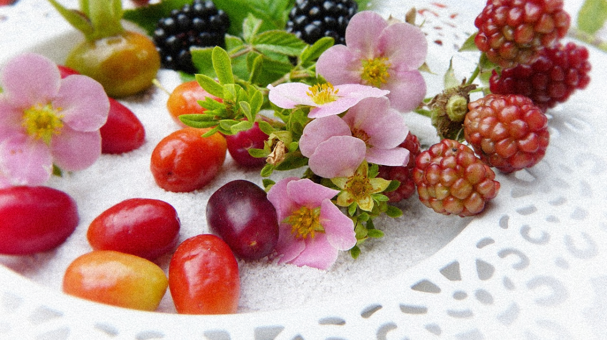 50 fruits de Baie du Miracle – La Baie Du Miracle